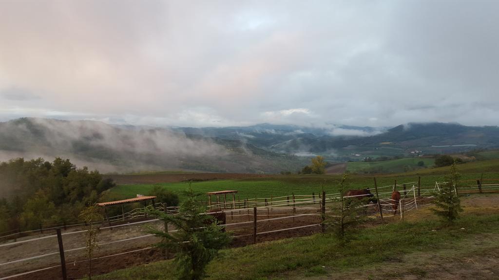 Allevamento B&B Pozzol Groppo Exterior foto